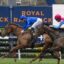 Tempted | Just Horse Racing
