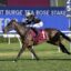 Bangkok Hottie | Just Horse Racing