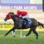 2362777.jpg | Just Horse Racing