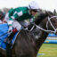 ANGEL CAPITALV9AANGEL CAPITAL6ANGEL CAPITAL1 | Just Horse Racing