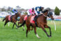 BIRDMAN (9) | Just Horse Racing