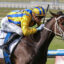 BLIND RAISE (8) | Just Horse Racing