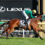 FLEMINGTON_12_9_2026 RACE 8 SHEZA ALIBI (16) | Just Horse Racing
