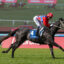 PRETTY BABY (12) | Just Horse Racing