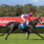 PRETTY BABY (15) | Just Horse Racing