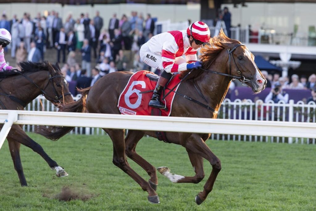 Skyhook | Just Horse Racing