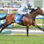 /r1/ | Just Horse Racing