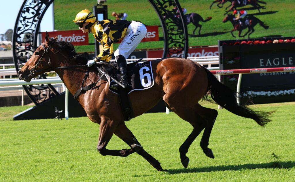 graffitude 16 | Just Horse Racing
