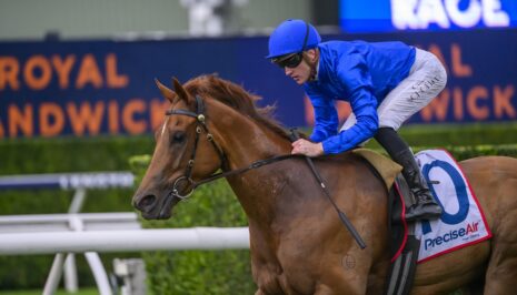 2370971.jpg | Just Horse Racing