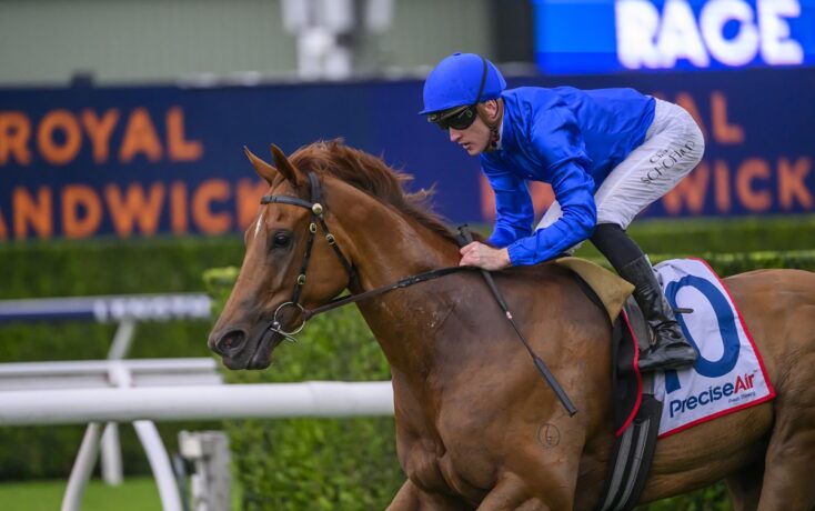 Can Tempted beat Ka Ying Rising in The Everest?