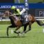 Central Europe | Just Horse Racing