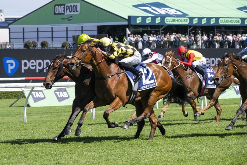Chains Of Love | Just Horse Racing