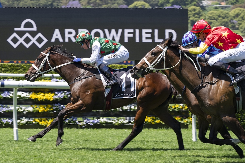 Magic Millions Classic the goal for Randwick winner Exo Velocity