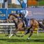 Lazzura | Just Horse Racing