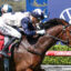 MURSHIDIV9AMURSHIDI614 | Just Horse Racing