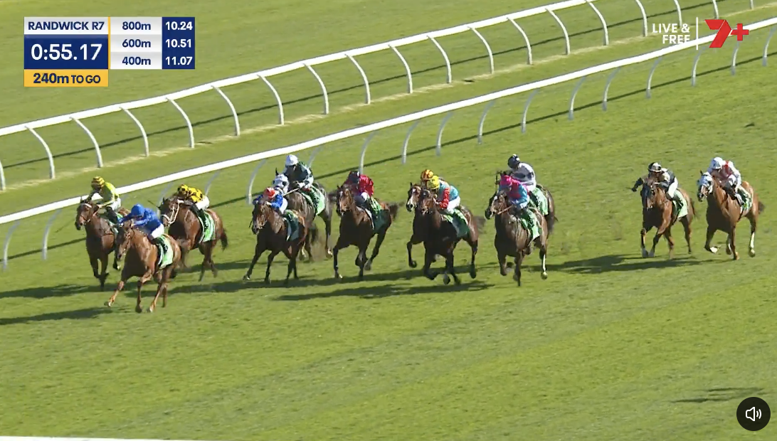 Hours Rching The Everest results and replay – (Tempted) 2026 | Just Horse Racing