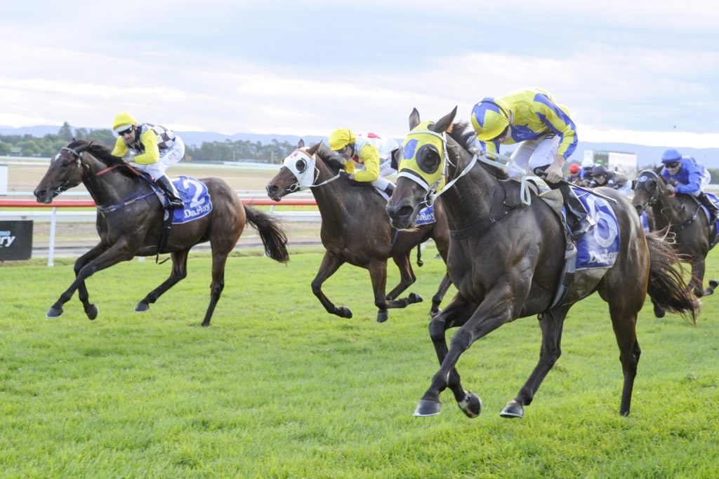 AMOVATIO,F_7_HAWK_30042016__A043.JPG | Just Horse Racing
