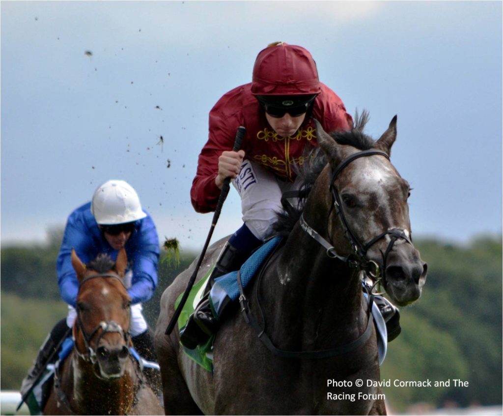 ARoaringLion | Just Horse Racing