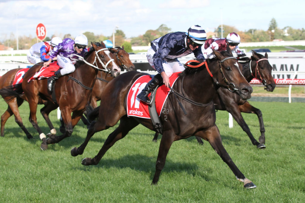 Abbey Marie_21-04-2016_WIN_Caulfield_6__762 | Just Horse Racing