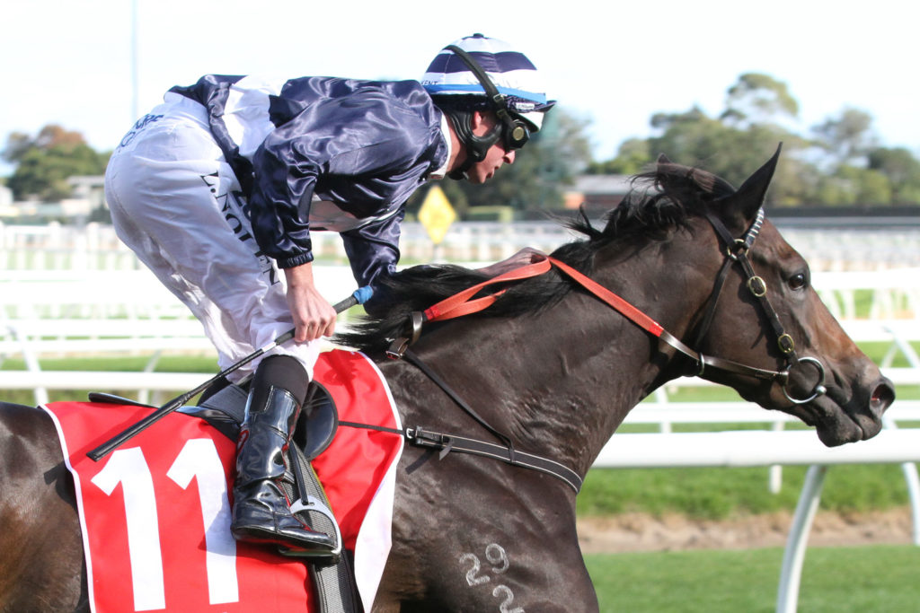 Abbey Marie_21-04-2016_WIN_Caulfield_6__768 | Just Horse Racing