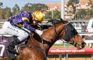 About Square winning the Simone Montgomerie Tribute at Flemington - photo by Race Horse Photos Australia