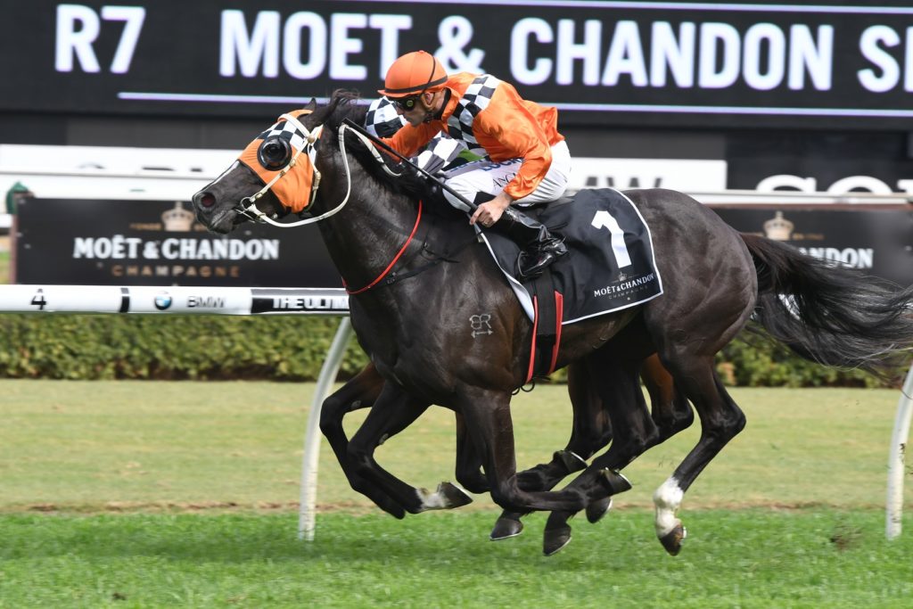 Ace High 071017 1043 | Just Horse Racing