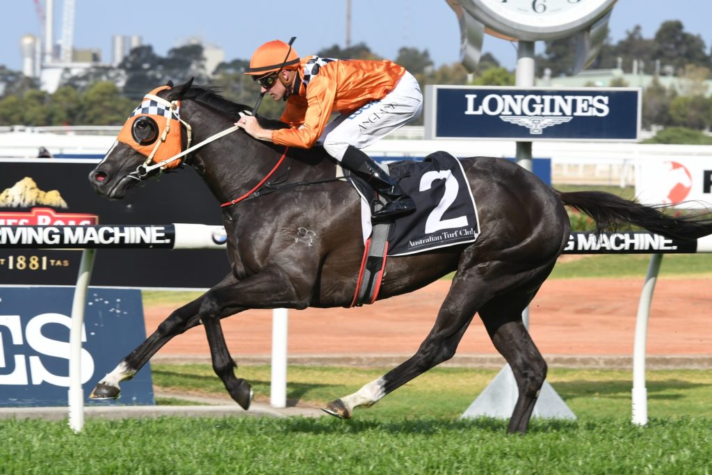 Ace High 230917 9413 | Just Horse Racing