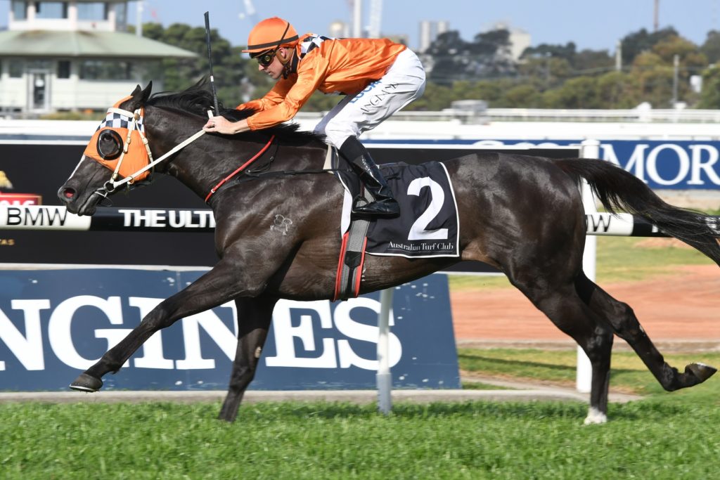 Ace High 230917 9414 | Just Horse Racing