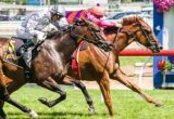 Adebisi winning the Schweppes Rubiton Stakes at Caulfield - photo by Race Horse Photos Australia (Steven Dowden)