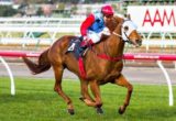 Aeratus winning the David Bourke Provincial Plate at Flemington ridden by Dean Yendall and trained by Mick Price - (photo by Steven Dowden/Race Horse Photos Australia)