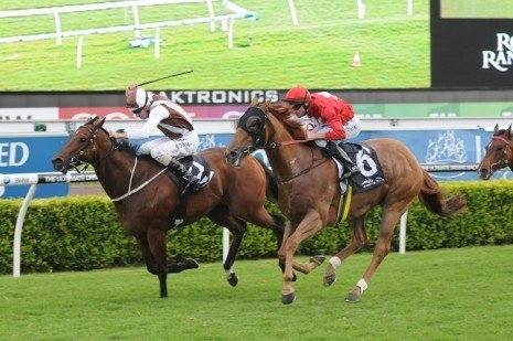 Aeronautical 141213 3061 | Just Horse Racing Aeronautical
