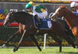 Alamalad - Tommy Berry