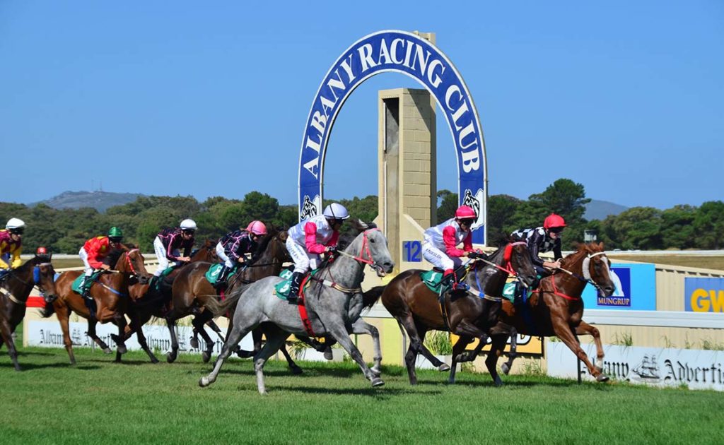 17/11/2019 Horse Racing Tips and Best Bets – Albany - Just Horse Racing