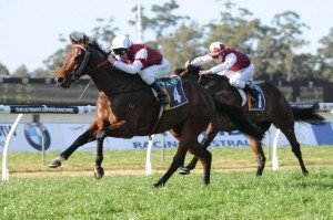 Albrecht winning the Group Three Up And Coming Stakes - Photo by Steve Hart