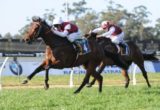 Albrecht winning the Group Three Up And Coming Stakes - Photo by Steve Hart