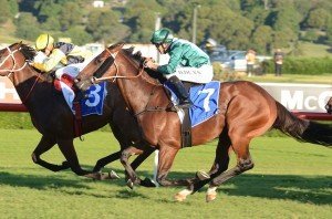 All Too Hard 270413 4446 | Just Horse Racing