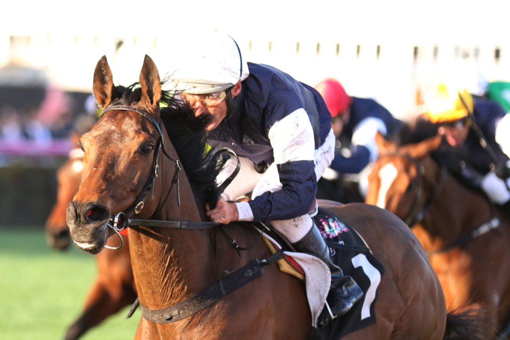 Almandin_16-09-2017_WIN_Flemington_8__1362 | Just Horse Racing