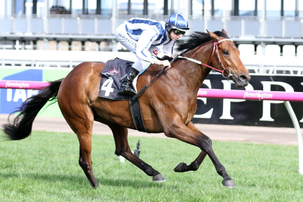 Amelie's Star,The Bart Cummings,Group 3_07-10-2017_WIN_Flemington_7__1057 | Just Horse Racing