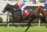 Amexed, Michael Rodd - Queensland Derby 2014