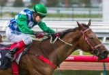 Anlon winning the George Watson Handicap at Flemington ridden by Dean Yendall and trained by Darren Weir - (photo by Steven Dowden/Race Horse Photos Australia)