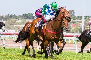 Anlon winning the Chester Manifold Stakes at Flemington ridden by Dean Yendall and trained by Darren Weir - (photo by Steven Dowden/Race Horse Photos Australia)