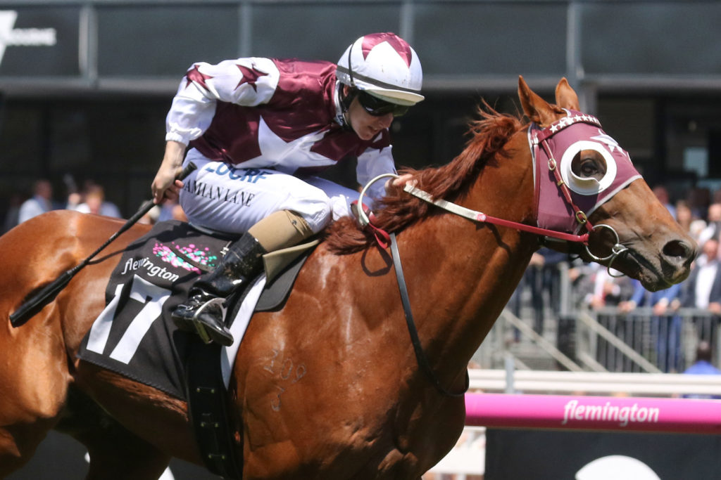 Another Coldie_09-11-2017_WIN_Flemington_4__781 | Just Horse Racing