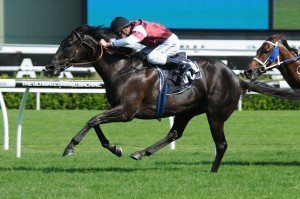 Appearance 080214 9839 | Just Horse Racing Appearance
