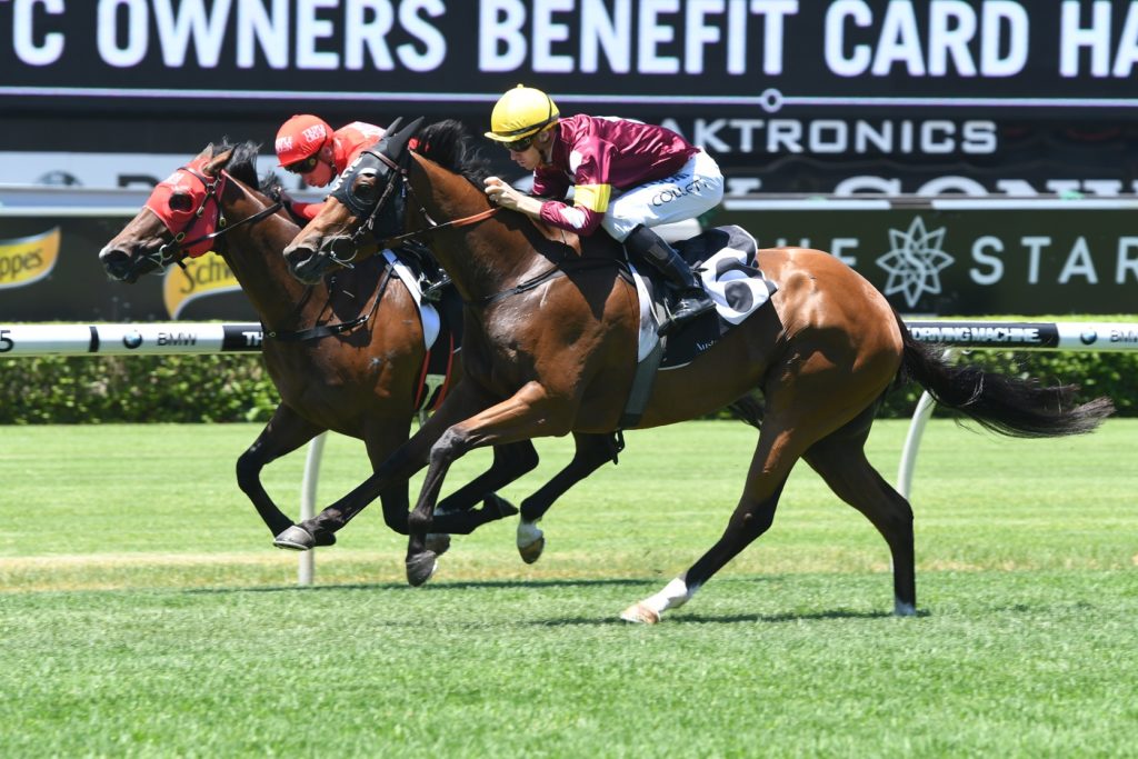 Aqua D'Ivina 060118 5003 | Just Horse Racing