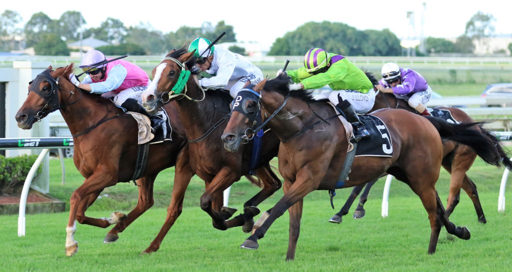 Aqua Vite (2) | Just Horse Racing