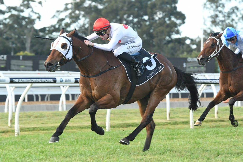 Arbeitsam 080717 6867 | Just Horse Racing