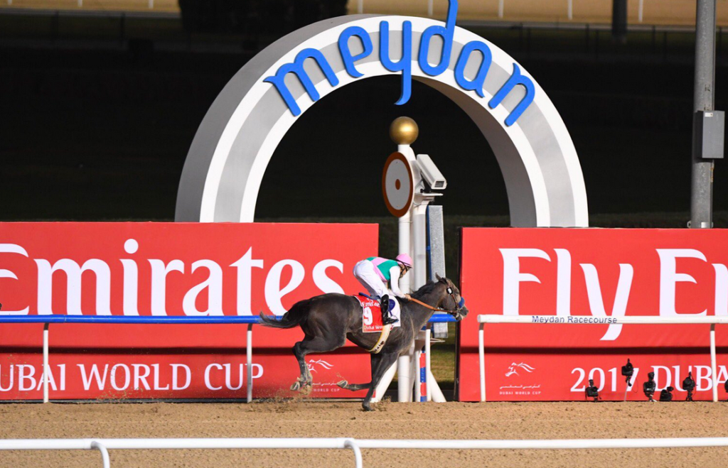 Arrogate - Dubai World Cup | Just Horse Racing