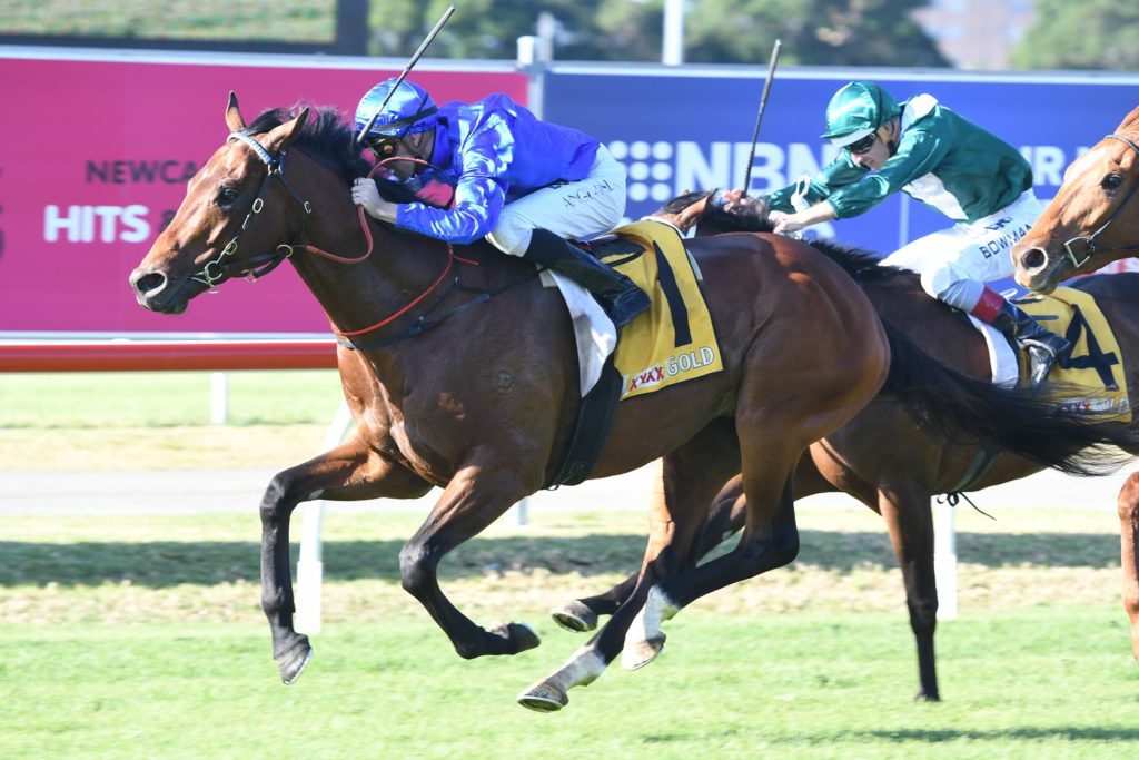 Astoria 150917 7361 | Just Horse Racing