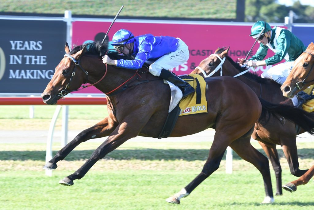 Astoria 150917 7362 | Just Horse Racing