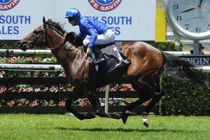 Astern - Golden Slipper 2016 | Just Horse Racing Astern - Golden Slipper 2016